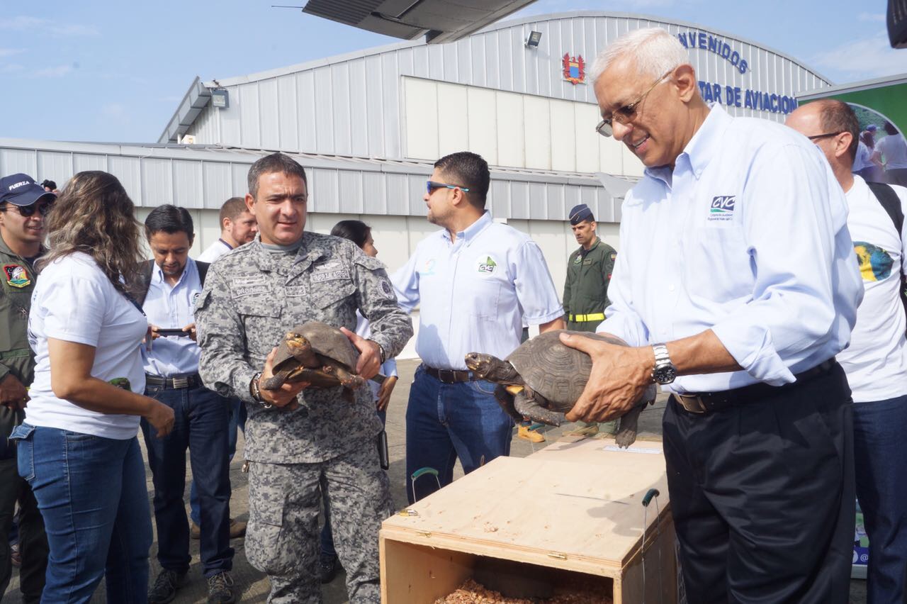 Fuerza Aérea Colombiana, CVC y Corpocesar llevaron 200 animales a la libertad 