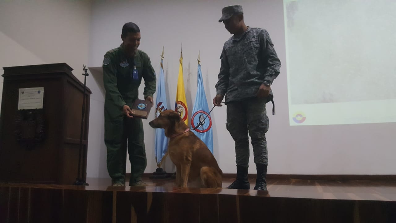 Canino de la Fuerza Aérea recibe reconocimiento tras 10 años de servicio