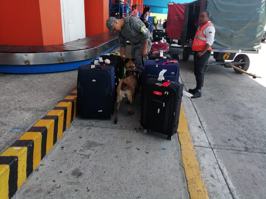Control antiexplosivos es realizado en el Aeropuerto Internacional Gustavo Rojas Pinilla por el Grupo Aéreo del Caribe