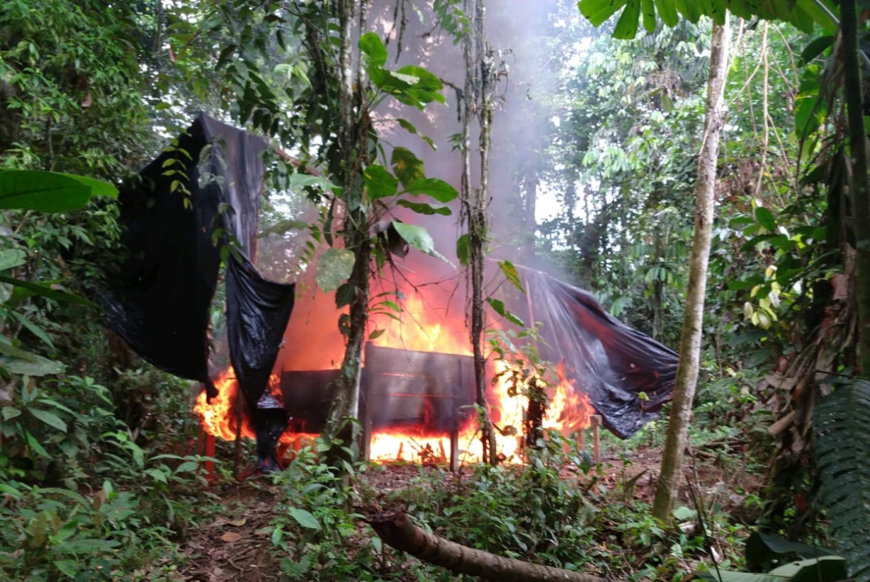 Destruidos laboratorios para el procesamiento de pasta base de coca en Antioquia