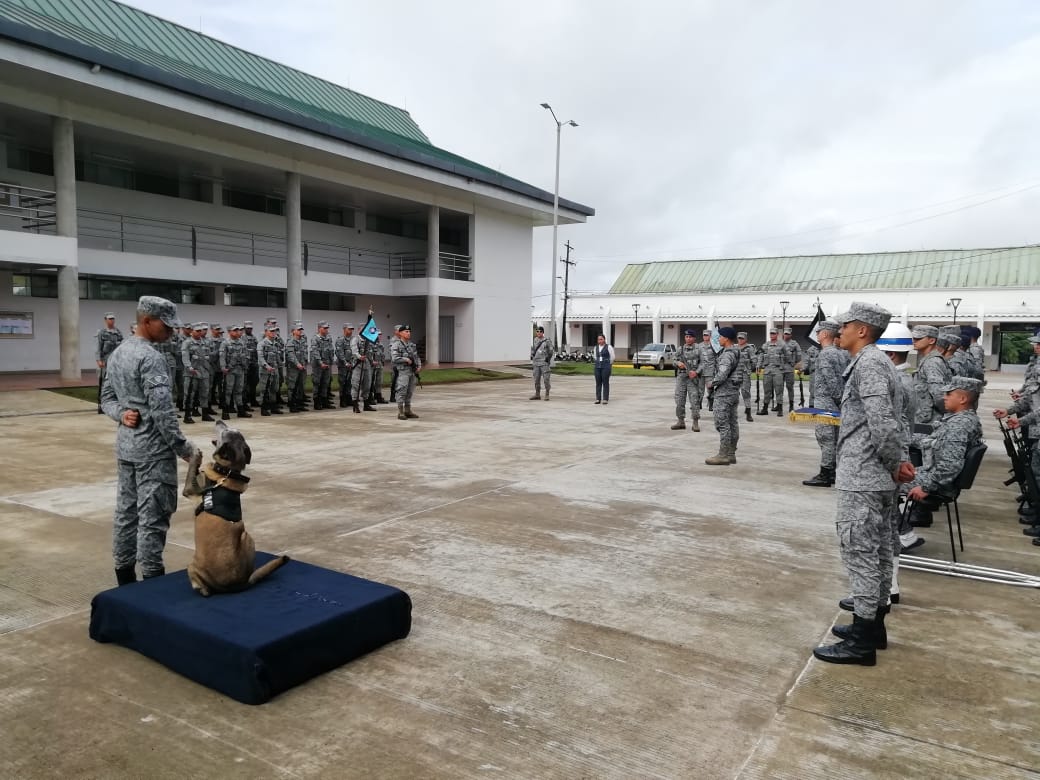 Naomi Yoshitora, canino militar de la Fuerza Aérea Colombiana