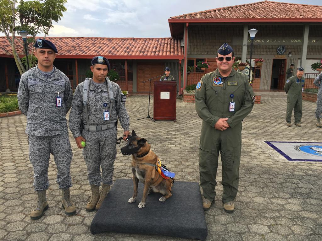 Nany Hare, una canino antiexplosivos se licenció en la Fuerza Aérea