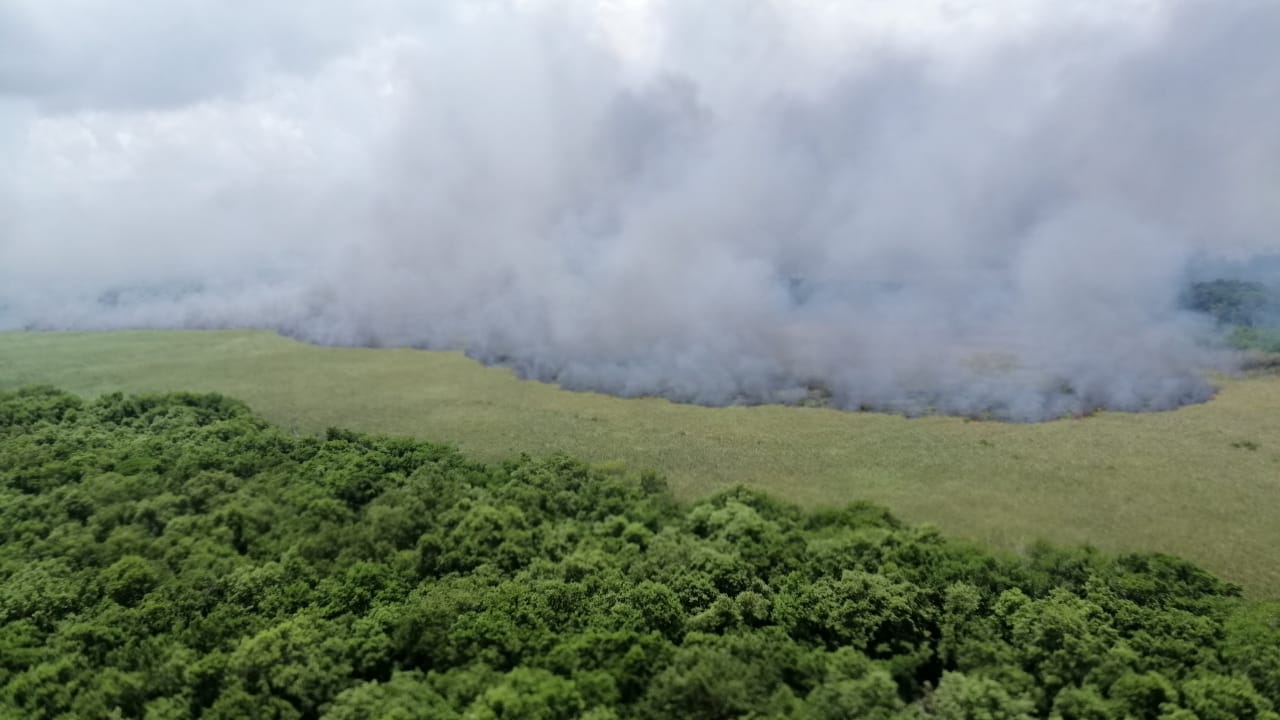 La Fuerza Aérea Colombiana en operación de extinción de incendios en Isla Salamanca  