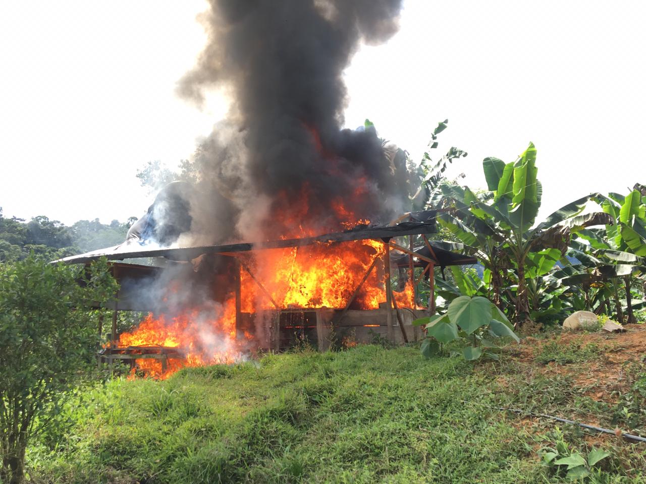 Diez laboratorios para el procesamiento de pasta base de coca fueron destruidos en Chocó