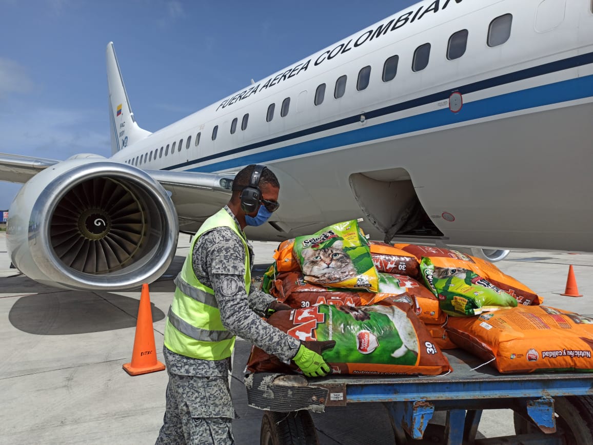 Alimentos para animales en condición de calle son transportados por su Fuerza Aérea 