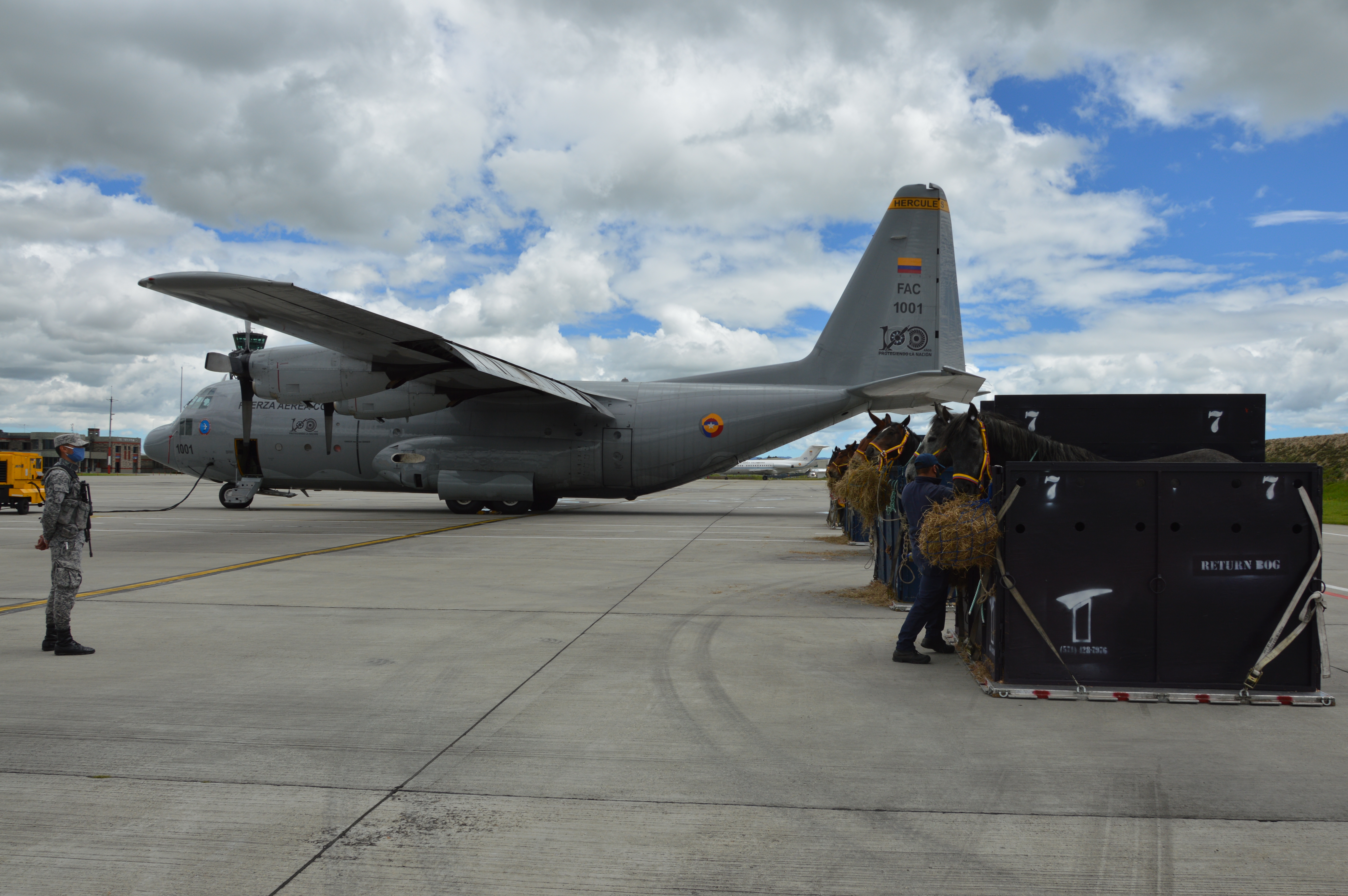 Su Fuerza Aérea transporta ejemplares equinos a Leticia 