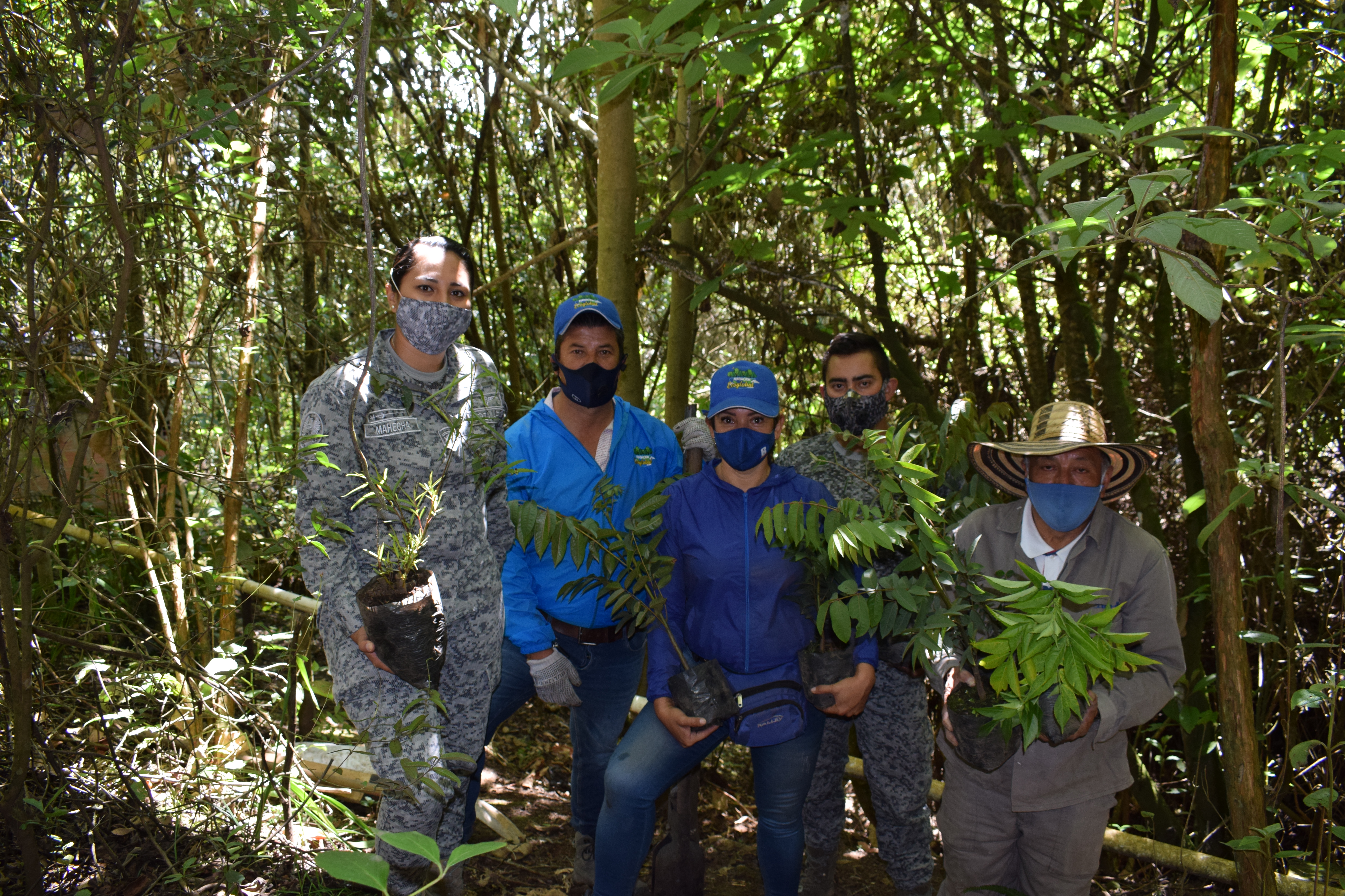 CAMAN desarrolla Jornada de Reforestación en Zipacón Cundinamarca