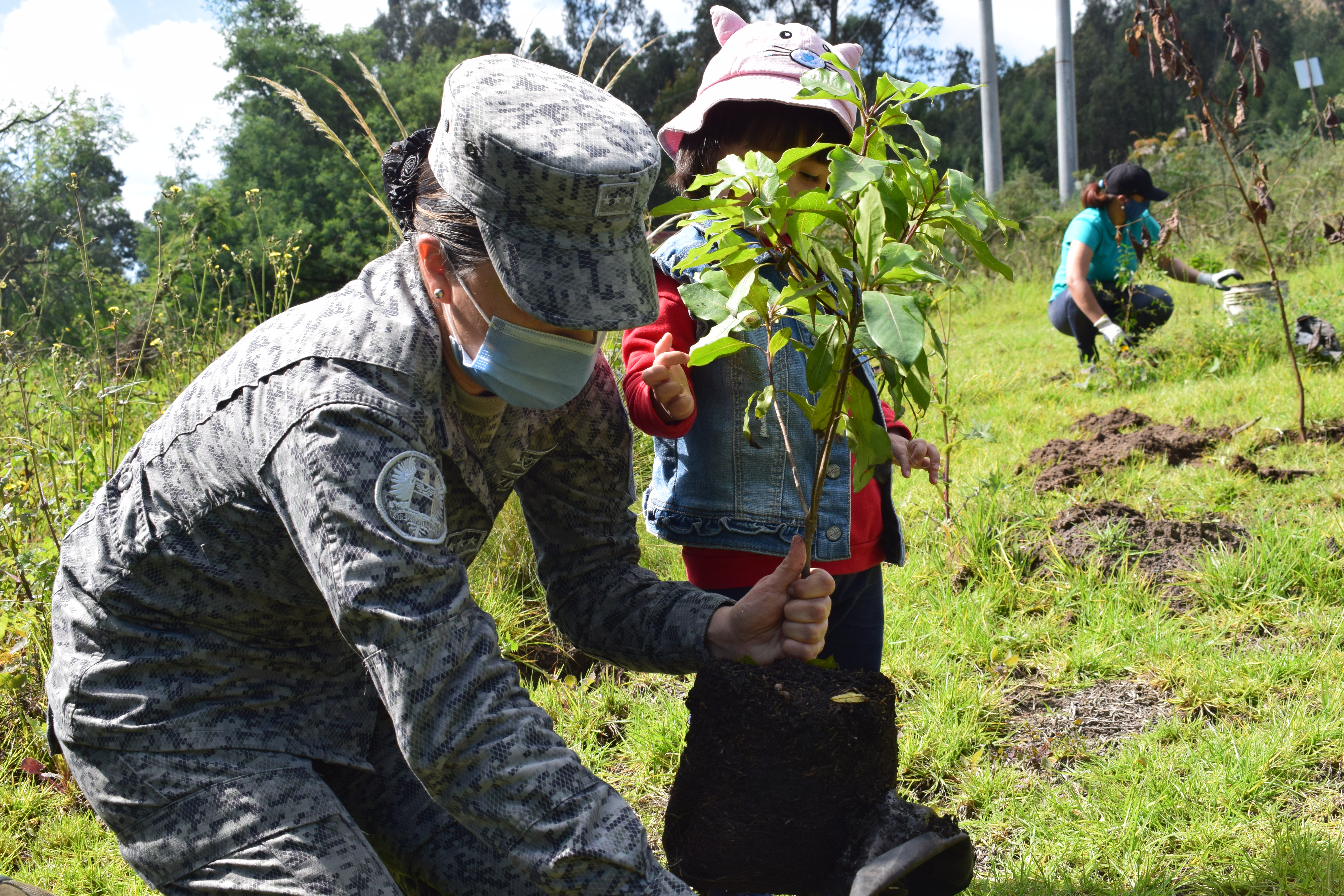 Cerca de 300 árboles fueron plantados por su Fuerza Aérea Colombiana