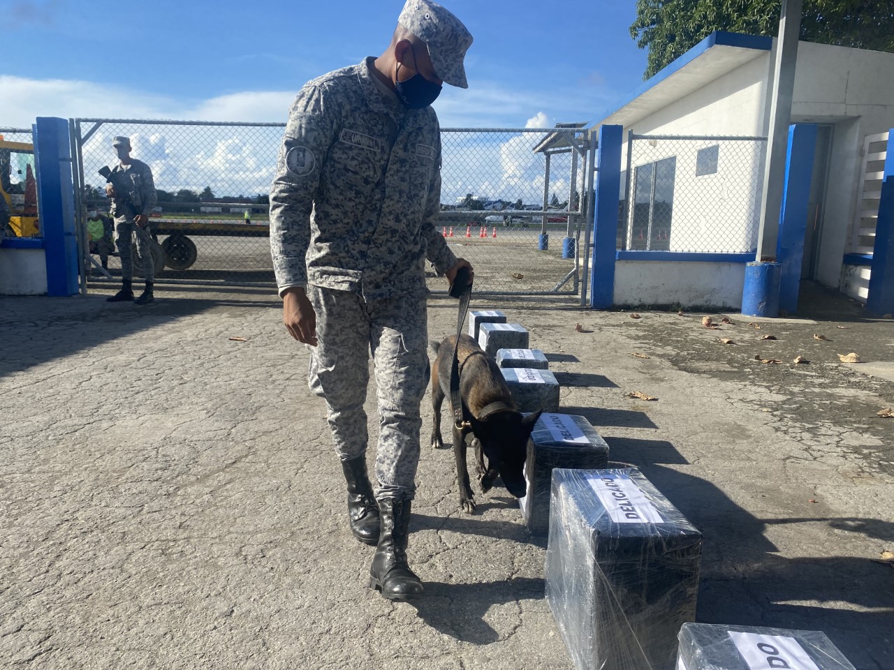 Binomios Caninos de su Fuerza Aérea al servicio de los colombianos.