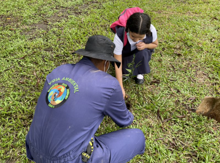 Jornada de reforestación fue liderada por su Fuerza Aérea en  Caquetá