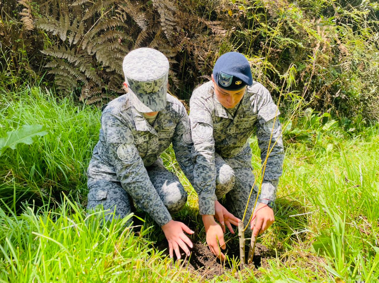145 nuevos árboles fueron plantados por su Fuerza Aérea  Colombiana