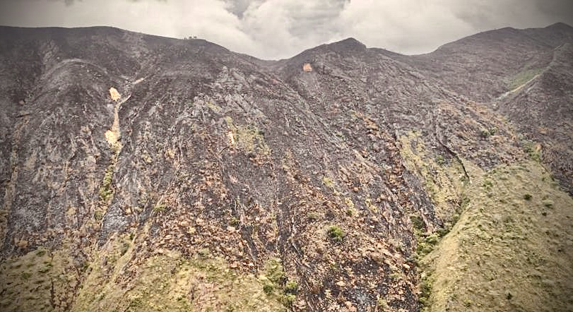 Extinguido incendio forestal en Palermo, Huila