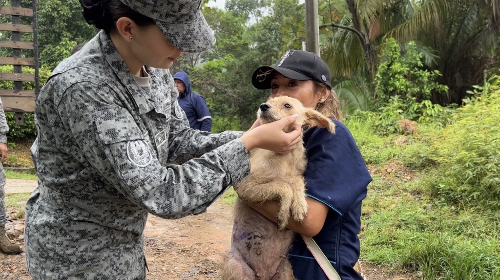 Mascotas rescatadas en Melgar, reciben alimentos
