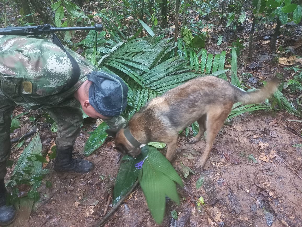 Se intensifica búsqueda de los cuatro menores de edad extraviados en selvas de Caquetá