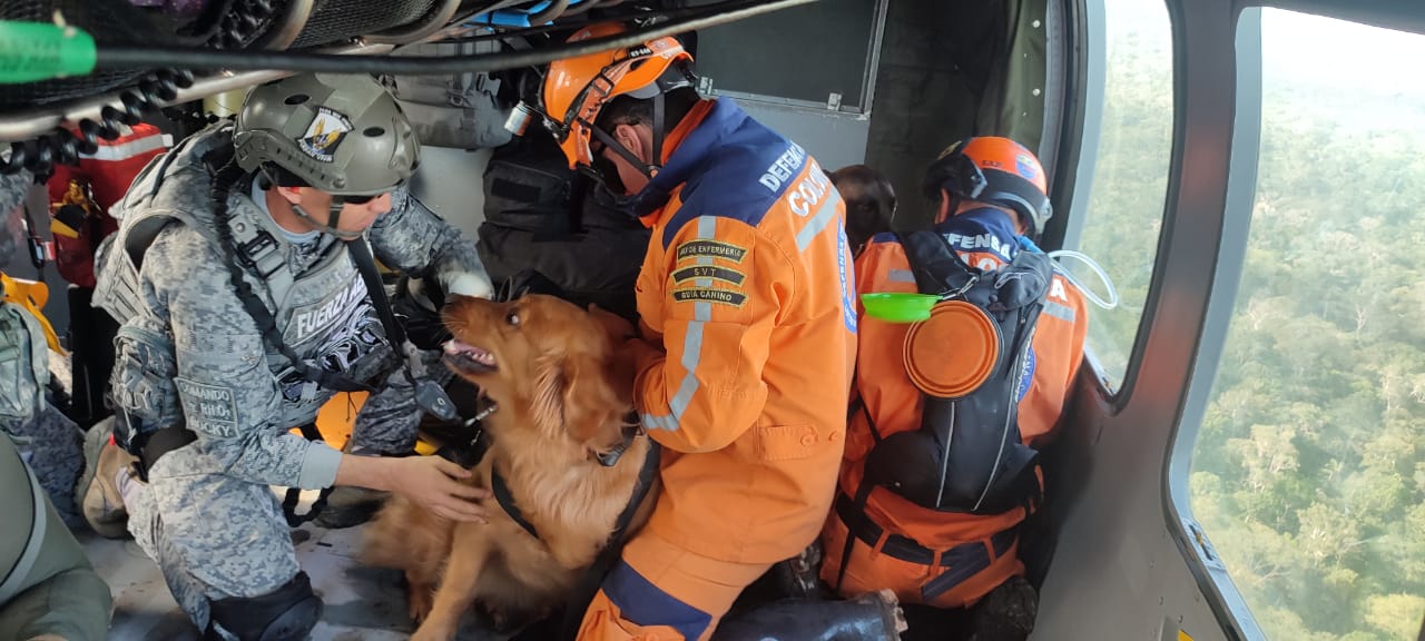 Continúa la 'Operación Esperanza', binomios caninos son ubicados en el área de búsqueda en helicóptero de su Fuerza Aérea