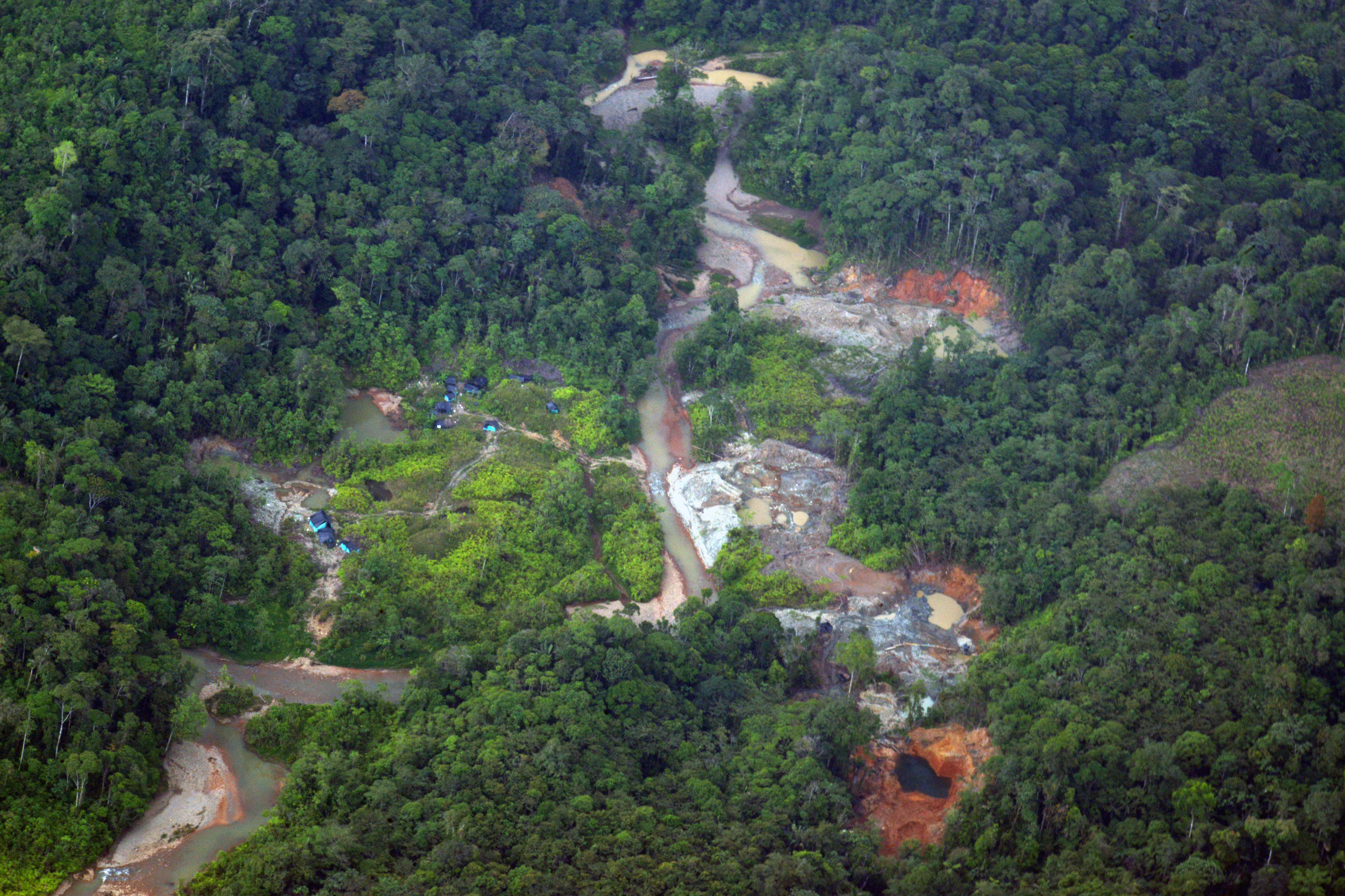 Área afectada por minería ilegal es ubicada por la Fuerza Pública, en Buenaventura