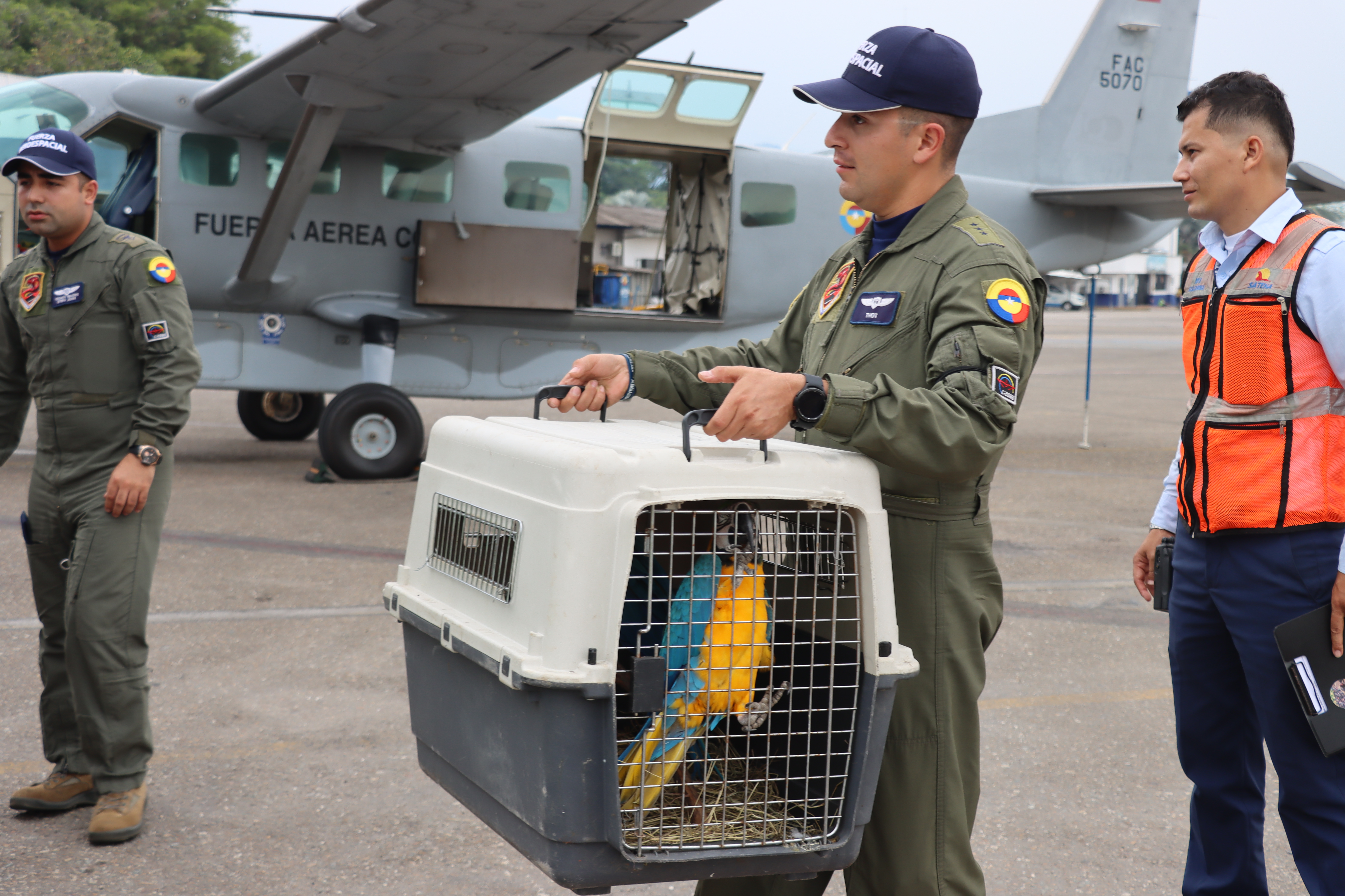  Aves víctimas de tráfico ilegal, fueron transportadas a un nuevo hogar por su Fuerza Aeroespacial Colombiana