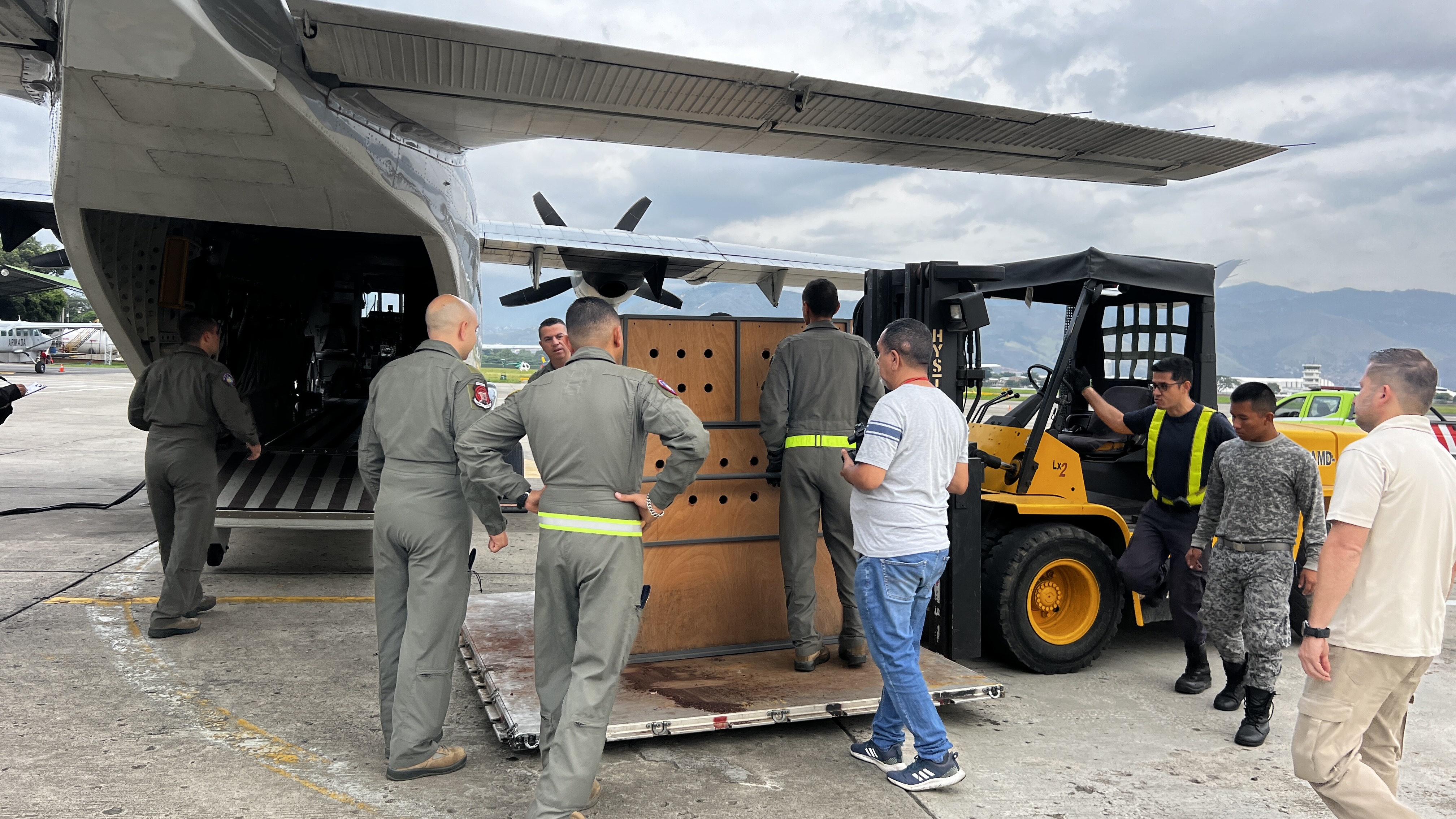 Ave exótica fue transportada hacia Melgar, Tolima, en una aeronave de su Fuerza Aérea Colombiana