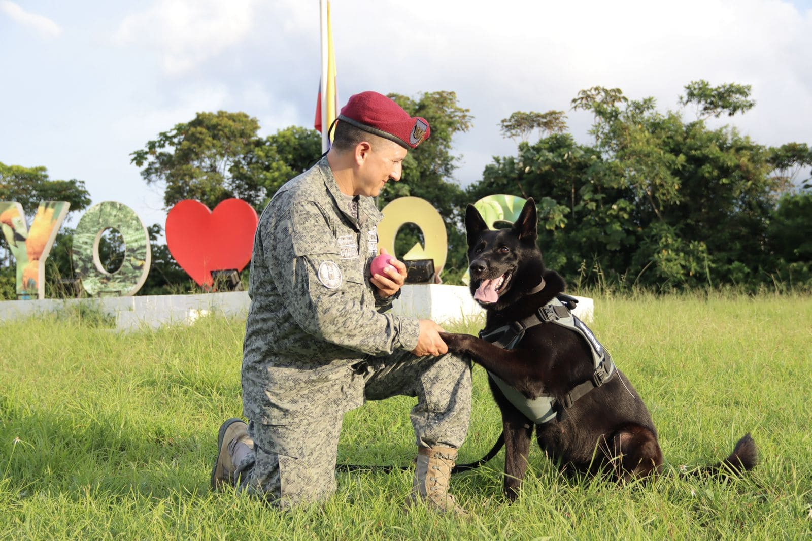 Guías caninos, un equipo estratégico para la seguridad y protección del territorio nacional  Guías caninos, un equipo estratégico para la seguridad y protección del territorio nacional