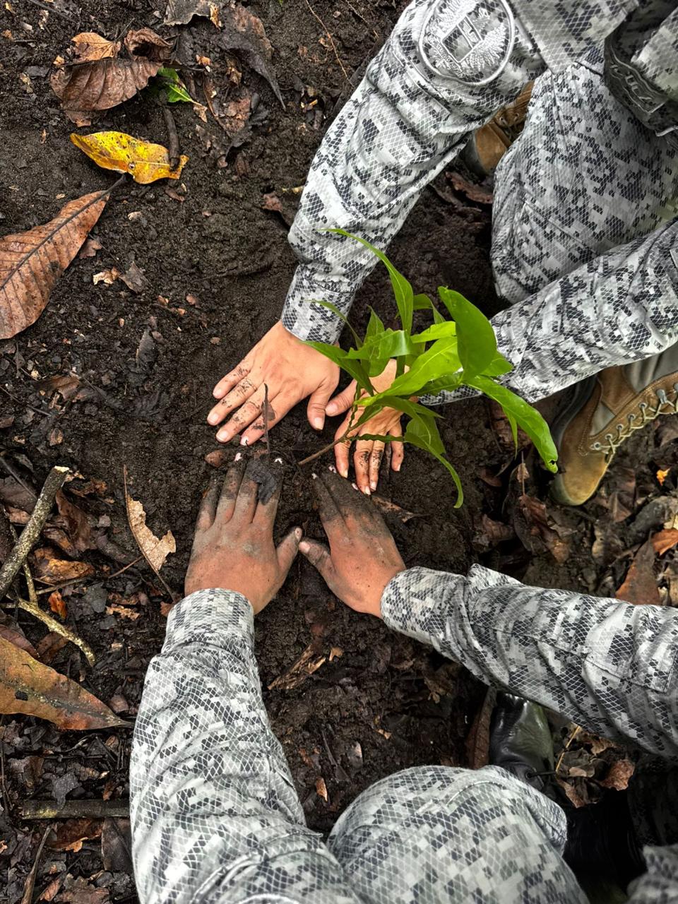 Puerto Salgar, Cundinamarca reverdece con siembra de 200 árboles y compromiso ambiental