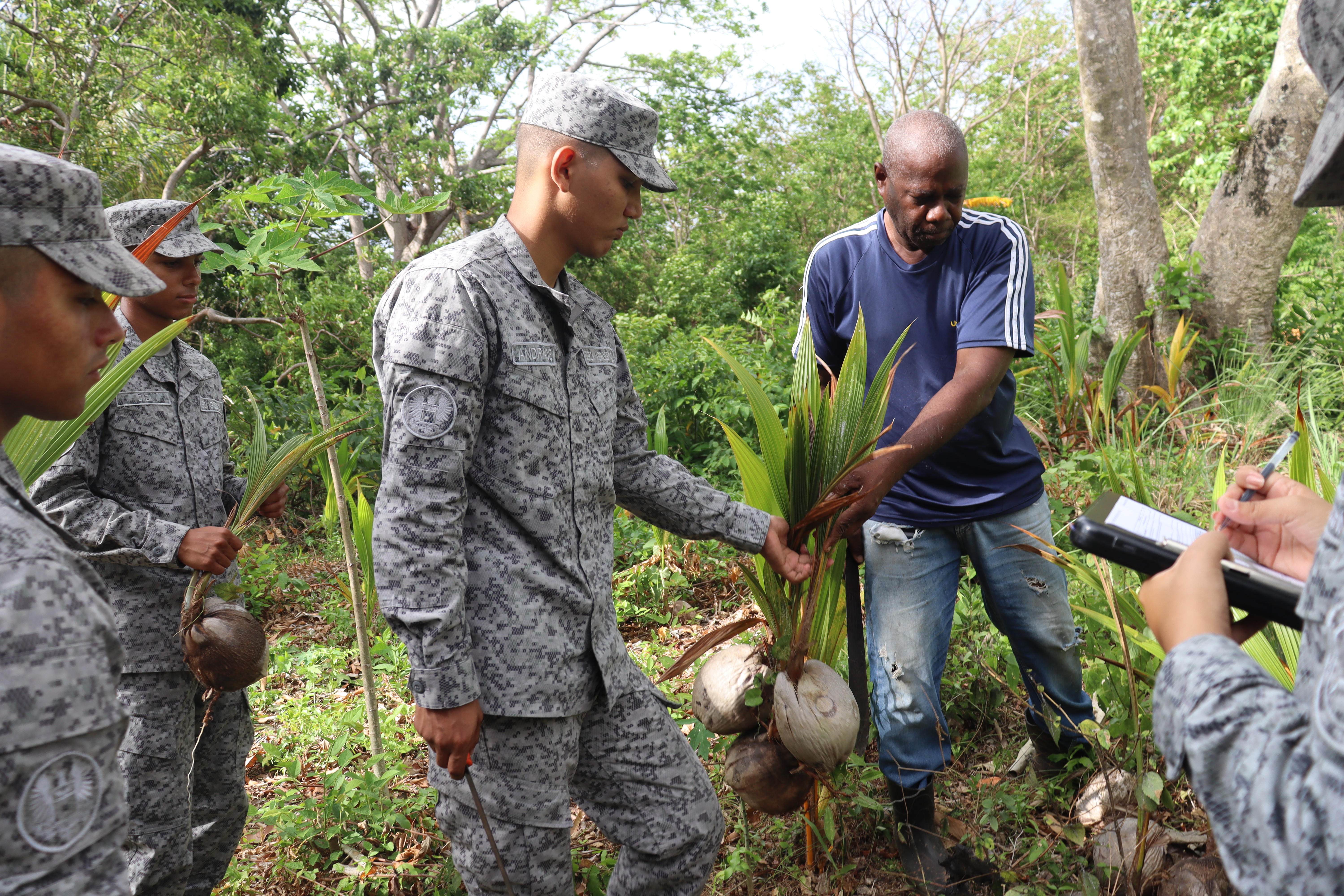 Continúa apoyo a proyecto social productivo cocotero en San Andrés