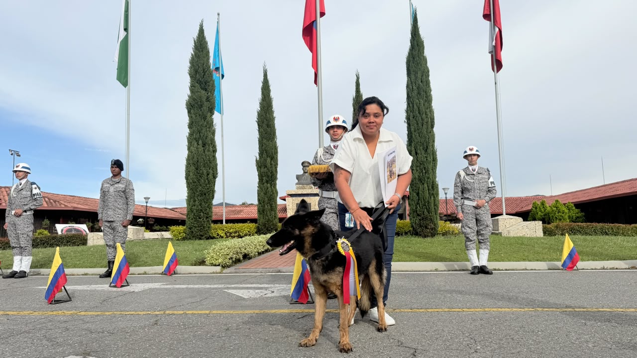 Dimatea, heroína de cuatro patas, inicia su retiro tras servir a Colombia