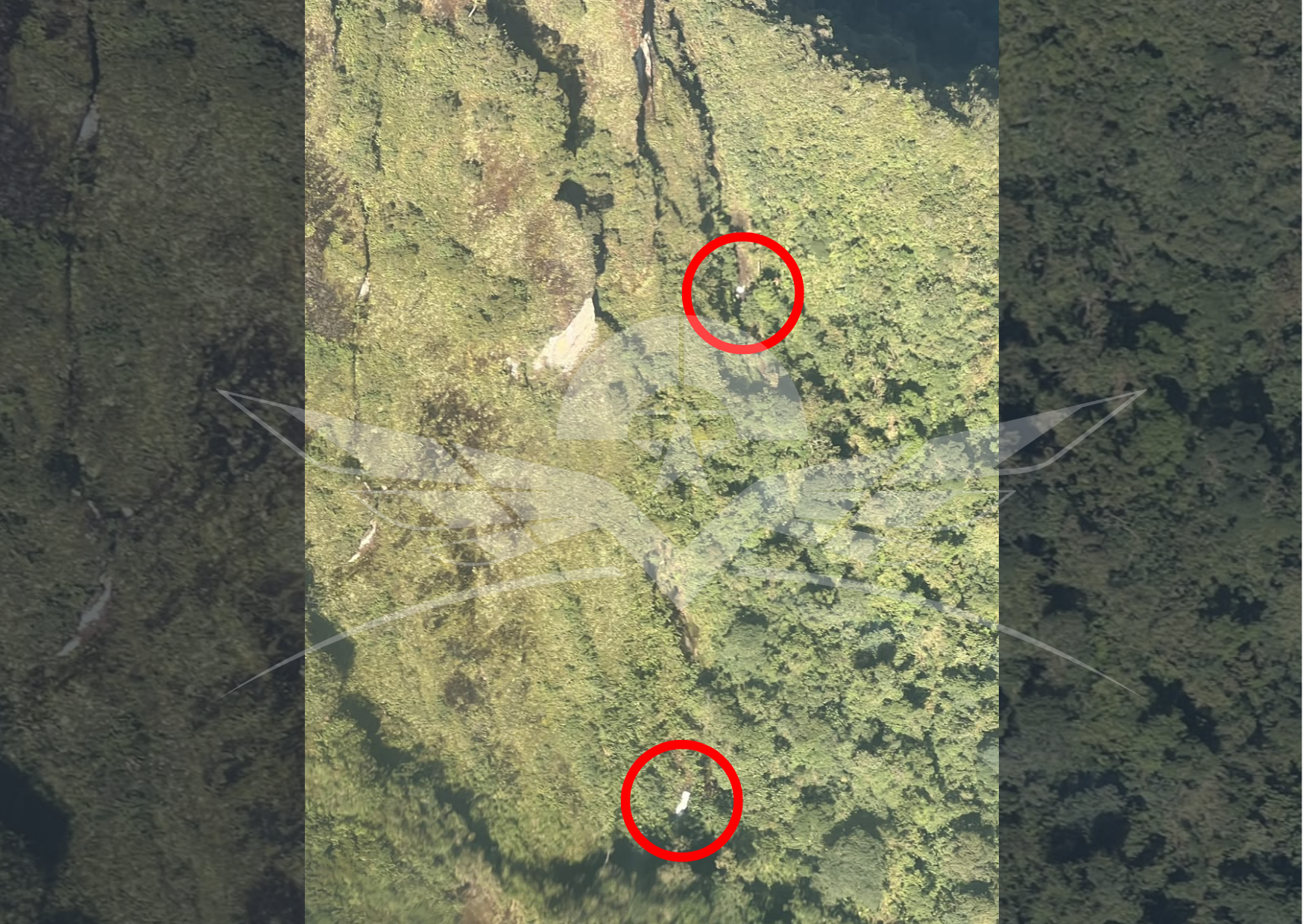 Activados protocolos de búsqueda y salvamento de la aeronave Cessna T-206