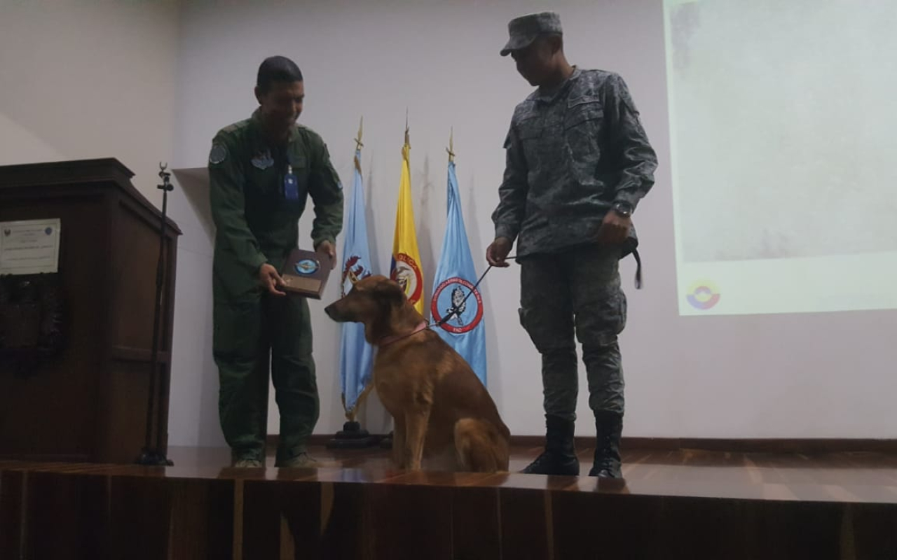 Canino de la Fuerza Aérea recibe reconocimiento tras 10 años de servicio