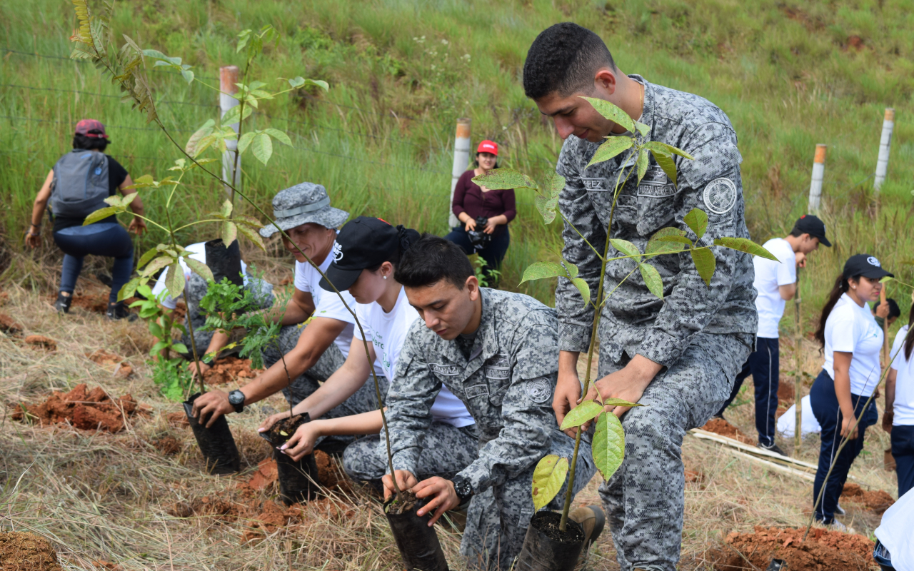 Con la siembra de 2.000 árboles se celebró el Día Mundial del Medio Ambiente en Cali
