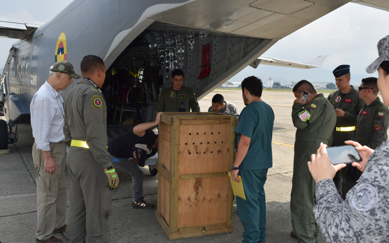 Fuerza Aérea Colombiana traslada aves en peligro de extinción a la Fundacion Zoológico de Cali.