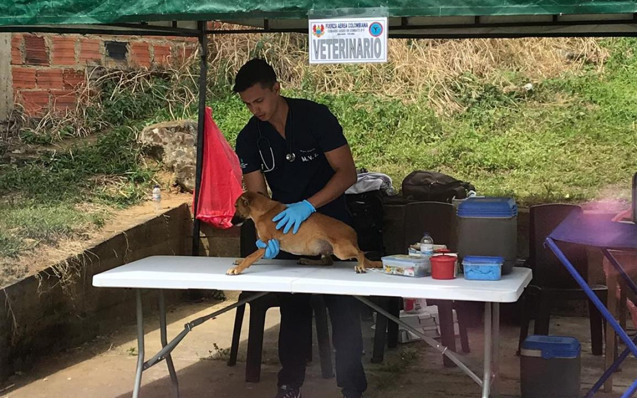 Más de 800 habitantes de Icononzo se beneficiaron gracias a la Fuerza Aérea Colombiana 