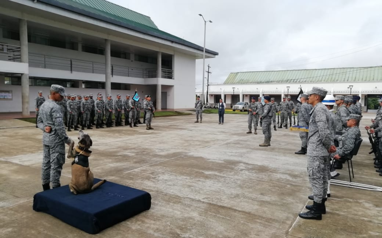 Naomi Yoshitora, canino militar de la Fuerza Aérea Colombiana