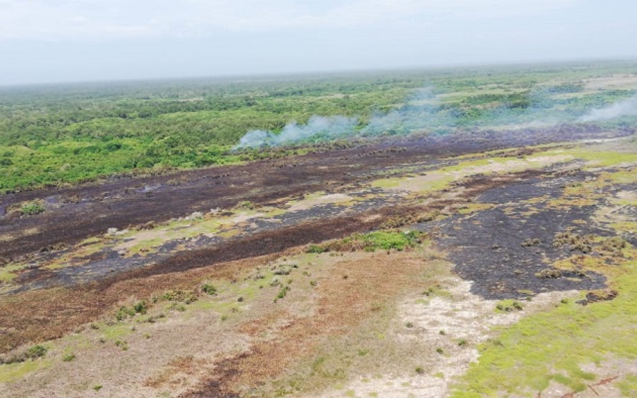 La Fuerza Aérea Colombiana logró controlar totalmente el incendio en el Parque Natural Isla Salamanca