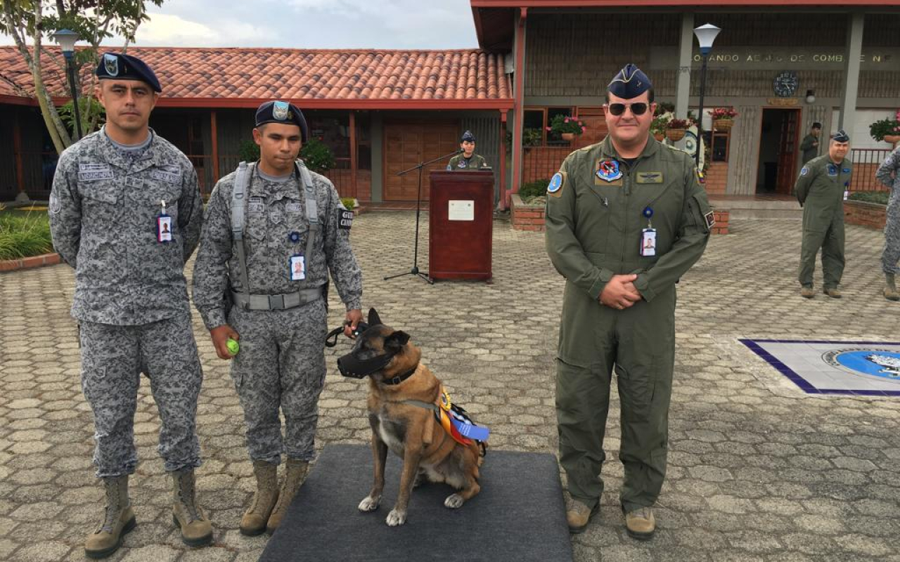 Nany Hare, una canino antiexplosivos se licenció en la Fuerza Aérea