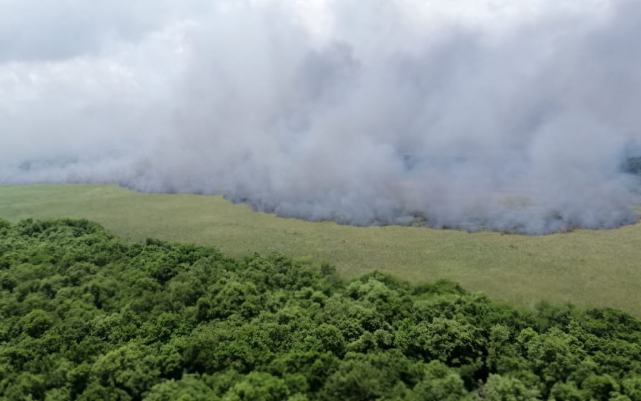 La Fuerza Aérea Colombiana en operación de extinción de incendios en Isla Salamanca  
