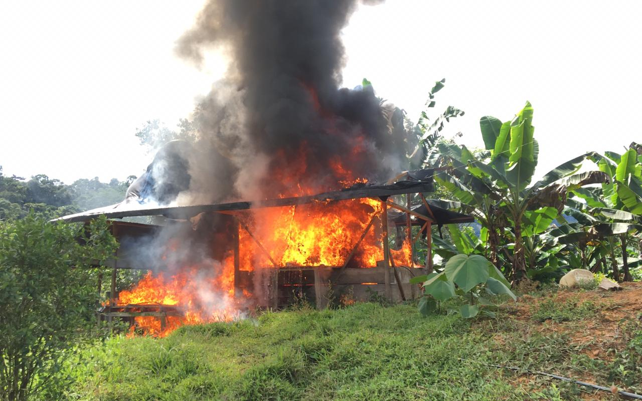 Diez laboratorios para el procesamiento de pasta base de coca fueron destruidos en Chocó