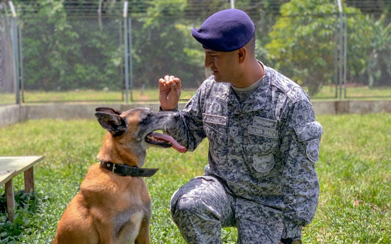 Guía de canino militar, un trabajo en equipo 