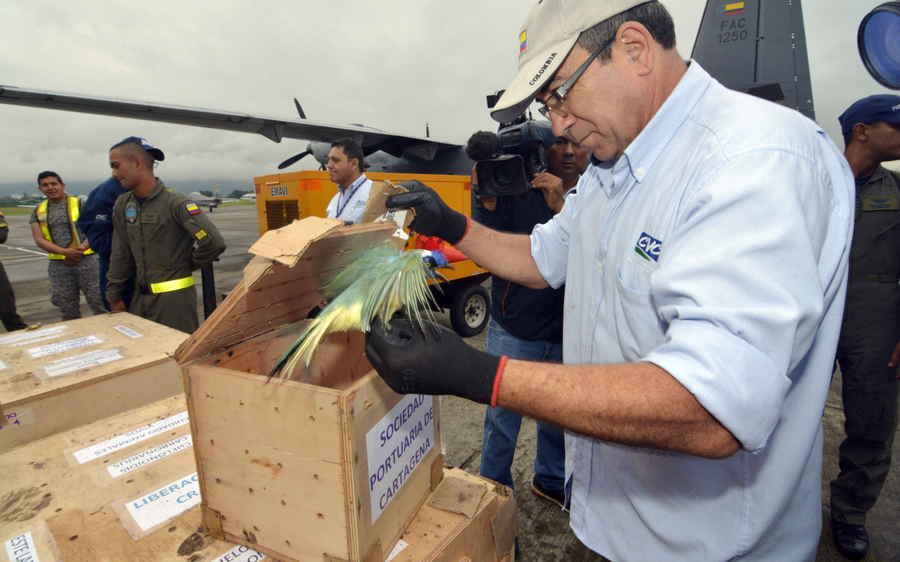 Trabajando por el medio ambiente, un compromiso de todos