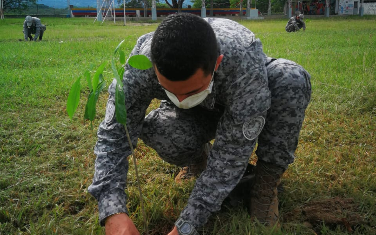 Jornada de reforestación en el Comando Aéreo de Combate No. 1