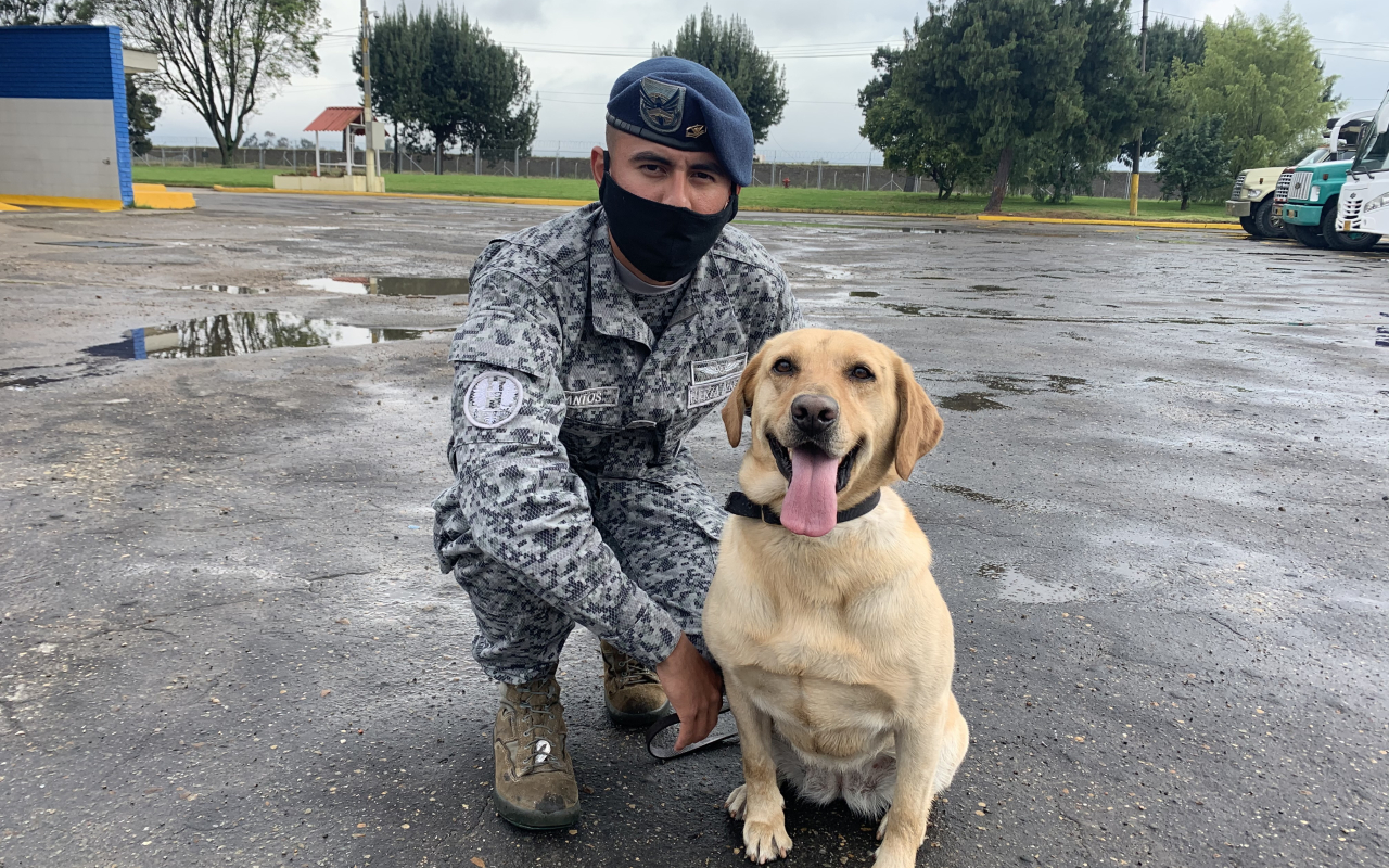 Militar y guía canino: pasión por la labor