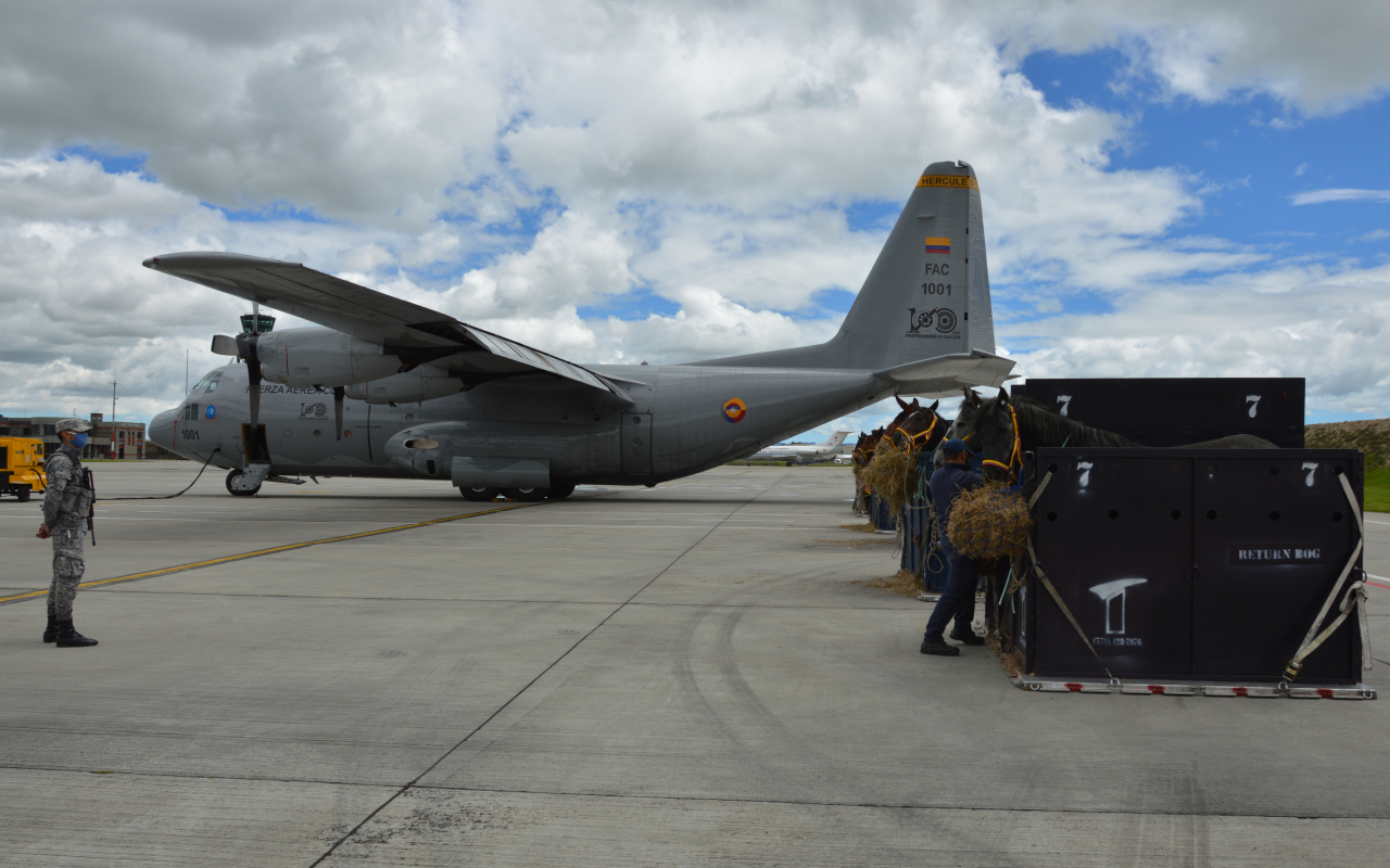 Su Fuerza Aérea transporta ejemplares equinos a Leticia 