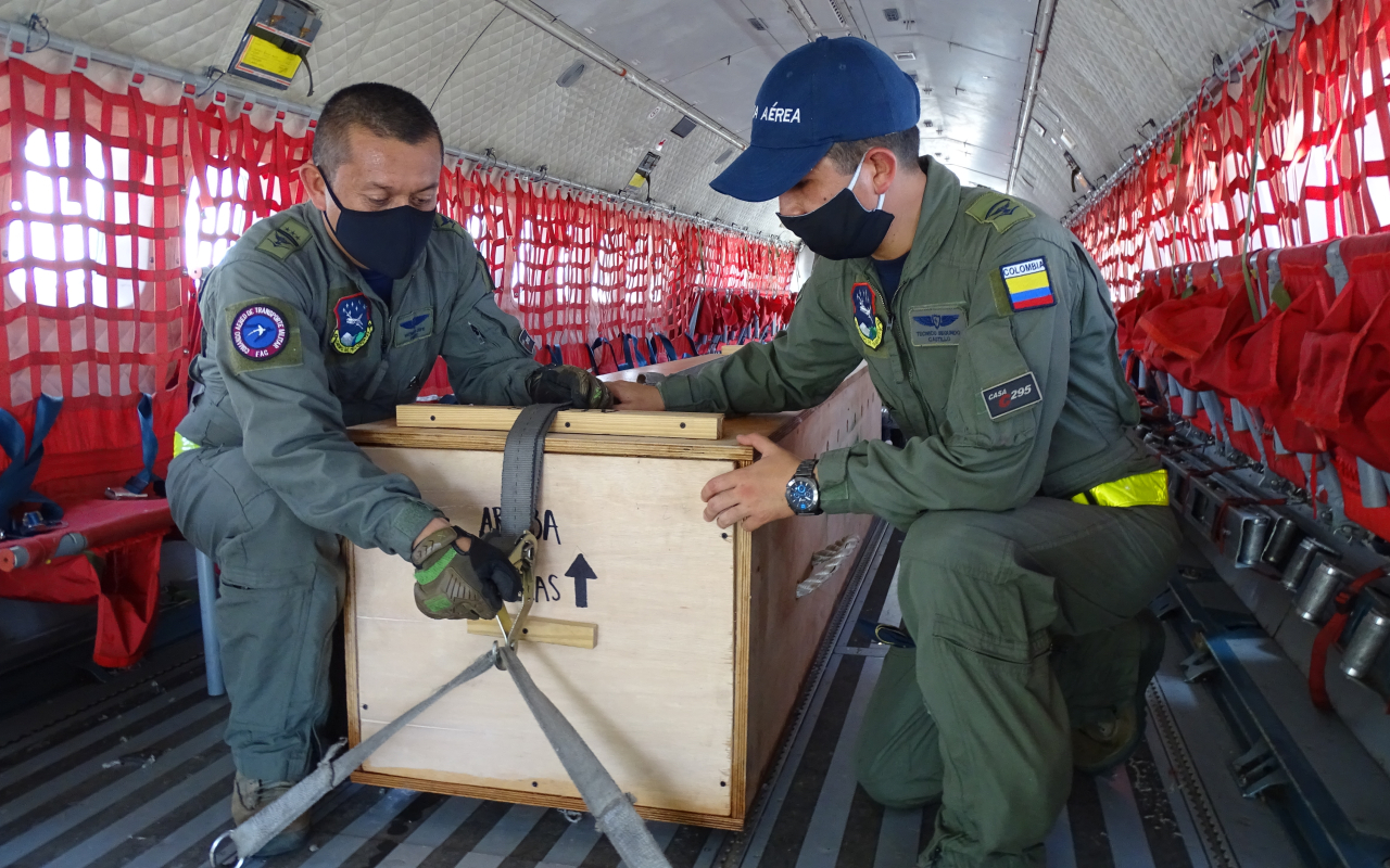 Misión regreso a casa para el cocodrilo encontrado en la Isla de San Andrés 