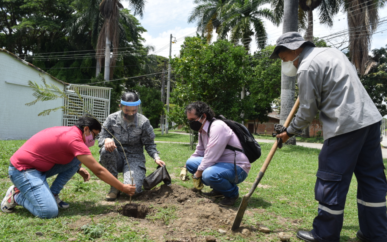 Nueva campaña de reforestación en Cerrito, Valle del Cauca