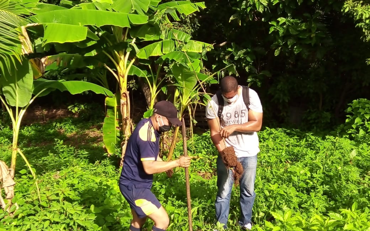Continúa campaña de reforestación en la Isla de San Andrés