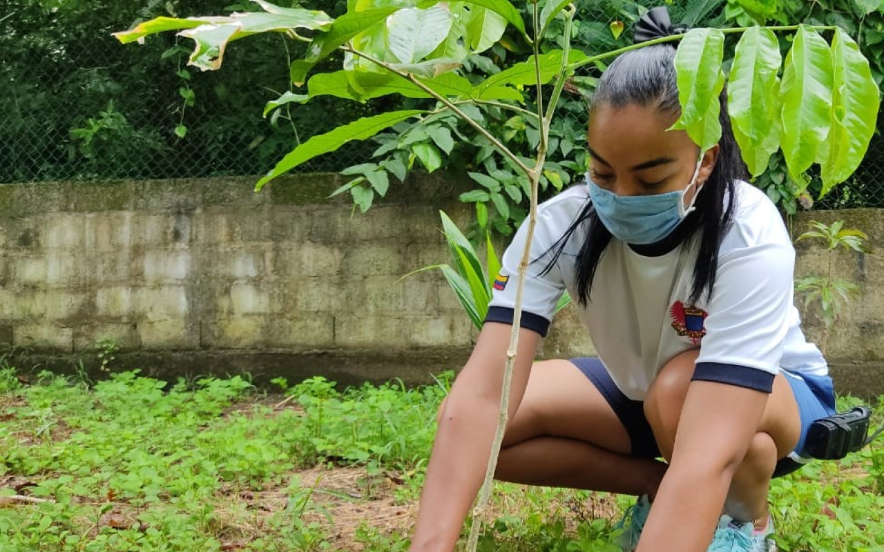 Su Fuerza Aérea apoya campaña de reforestación en el Archipiélago de San Andrés Islas