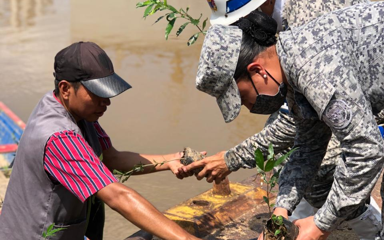 Alianza estratégica para la reforestación es realizada por su Fuerza Aérea