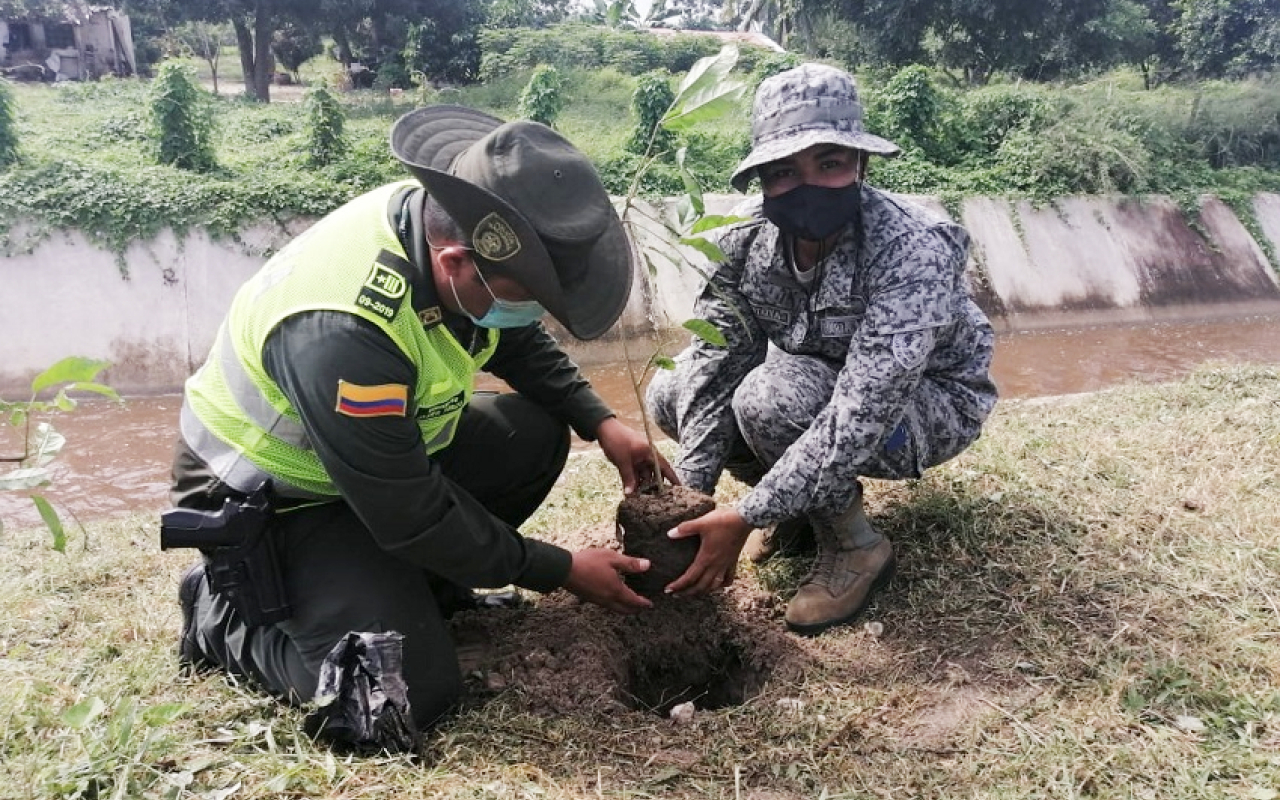 200 Árboles fueron sembrados en Sabanagrande