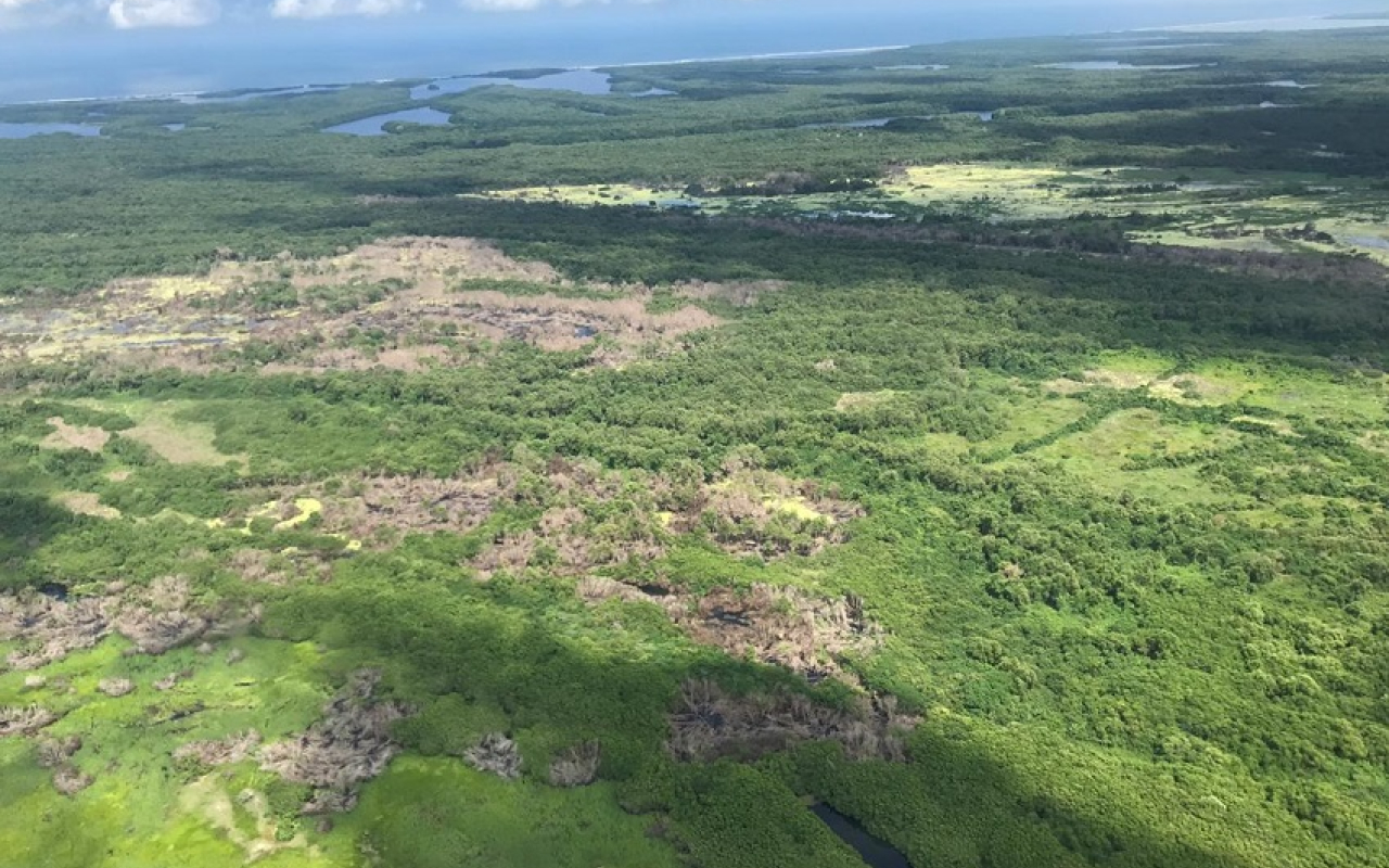 Continúan las labores de monitoreo en Isla Salamanca