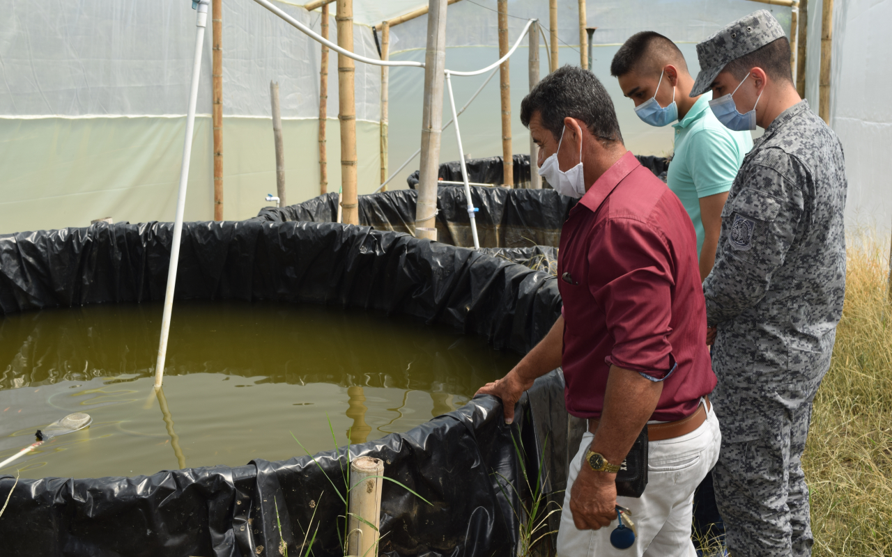 Sigue creciendo proyecto de piscicultura apoyado por su Fuerza Aérea Colombiana