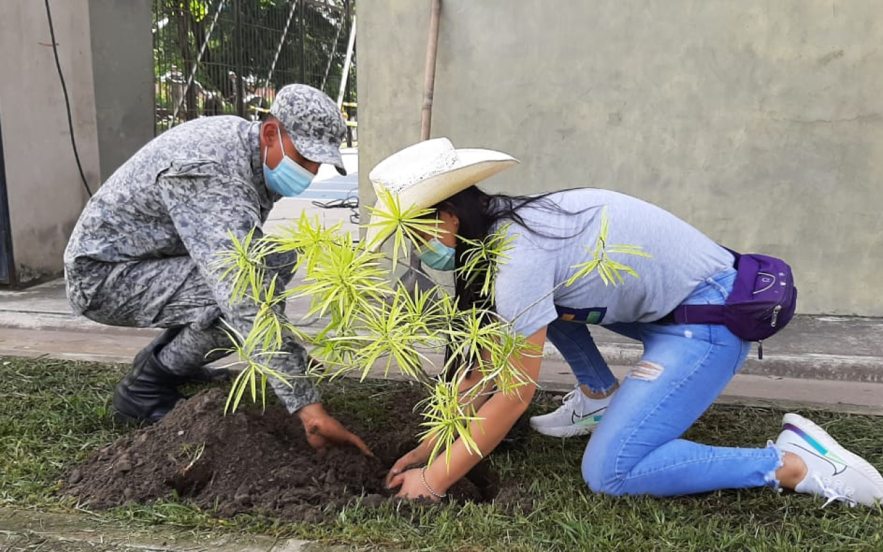 Jornada de embellecimiento y siembra de árboles en Yopal, gracias a su Fuerza Aérea